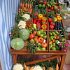  hzqdagfmiizxas, kgruiaanwymm 2011 1_preview.jpg
